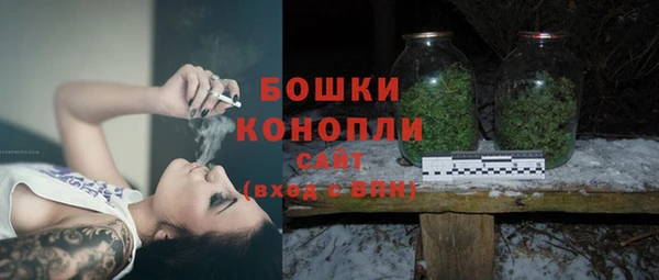 бошки Белокуриха