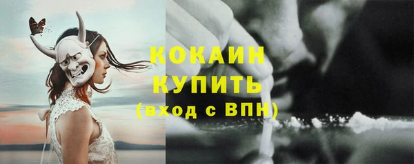 бошки Белокуриха