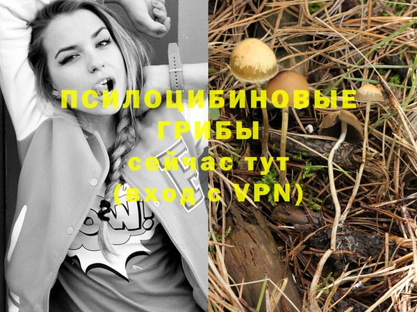 МДМА Белоозёрский