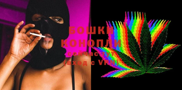 бошки Белокуриха