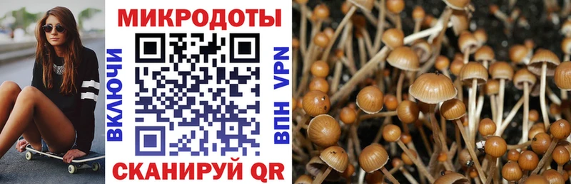 Псилоцибиновые грибы ЛСД Рудня