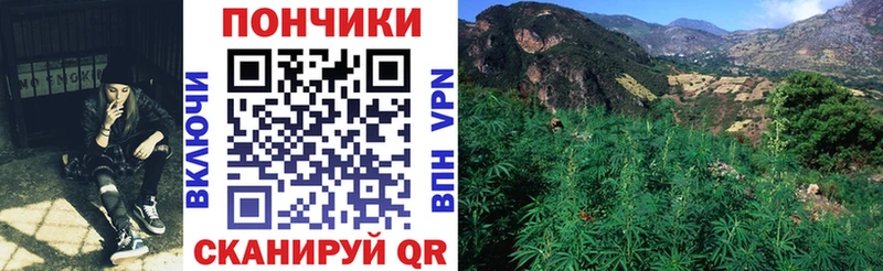 сколько стоит  Рудня  Бошки Шишки сатива 
